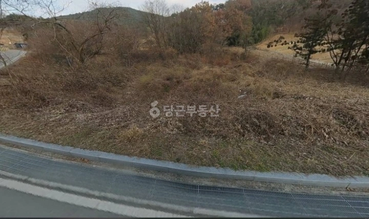 전남광주통합특별시 담양군 무정면 토지 사진 1