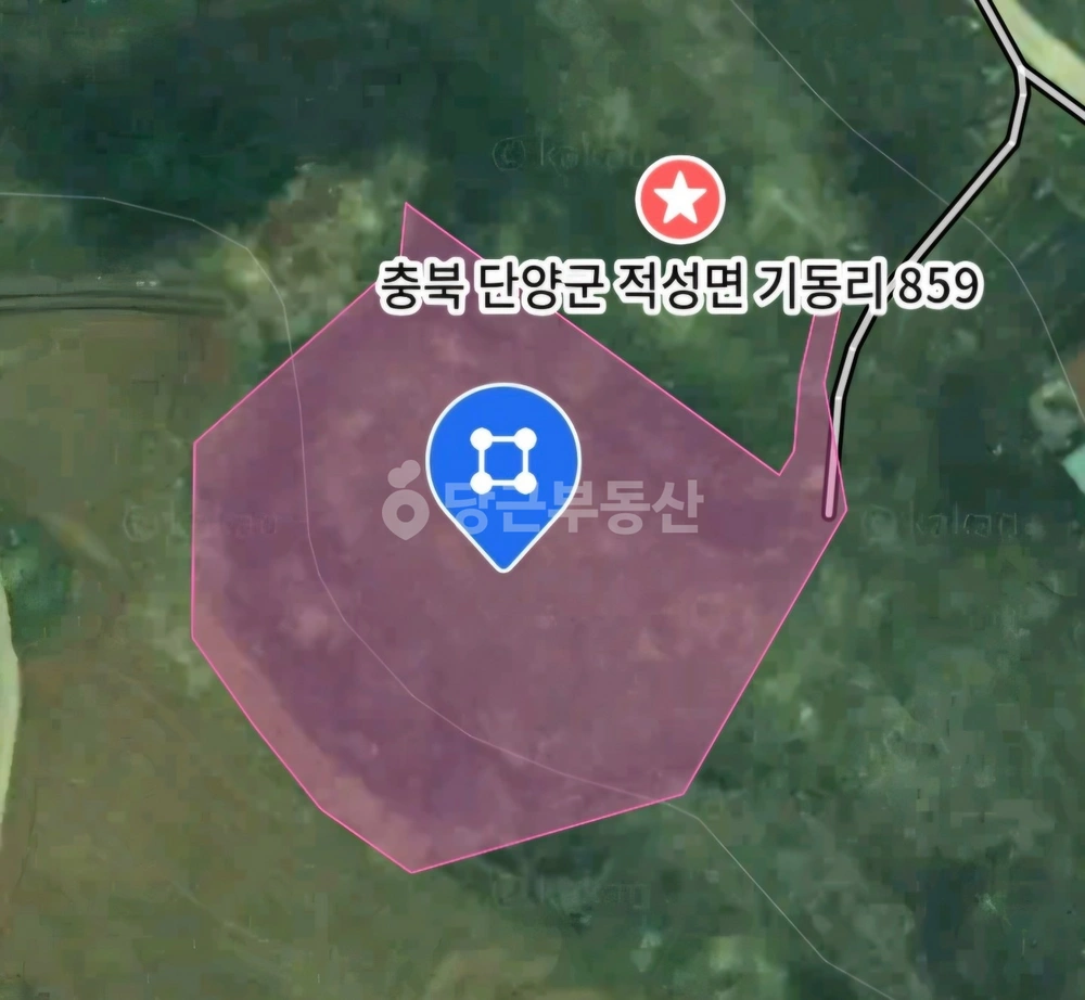 충청북도 단양군 적성면 토지 사진 1