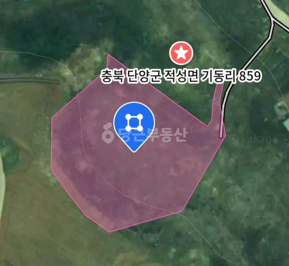 충청북도 단양군 적성면 토지 사진 1