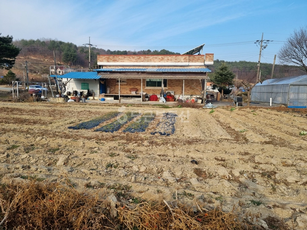 강원특별자치도 삼척시 근덕면 단독/전원주택 사진 1
