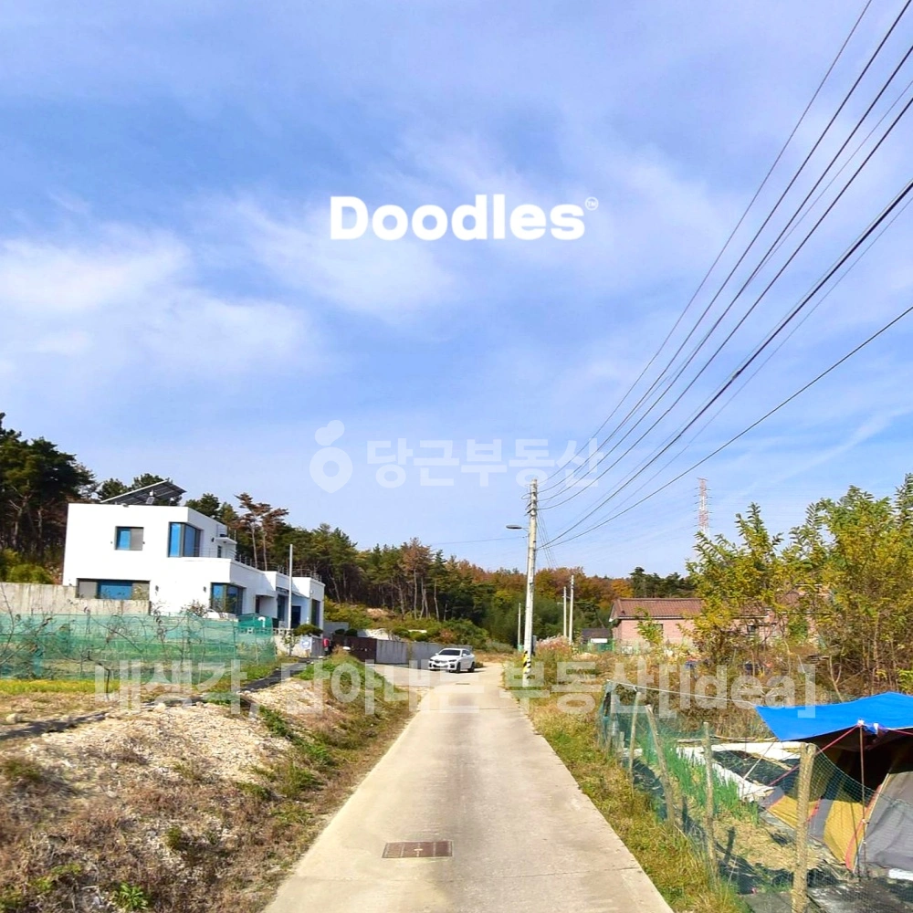 경상북도 포항시 북구 양덕동 토지 사진 1