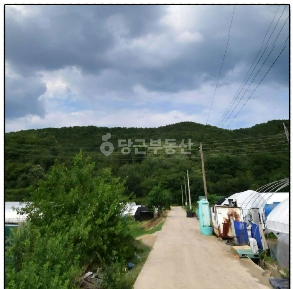 대구광역시 달성군 화원읍 토지 사진 1