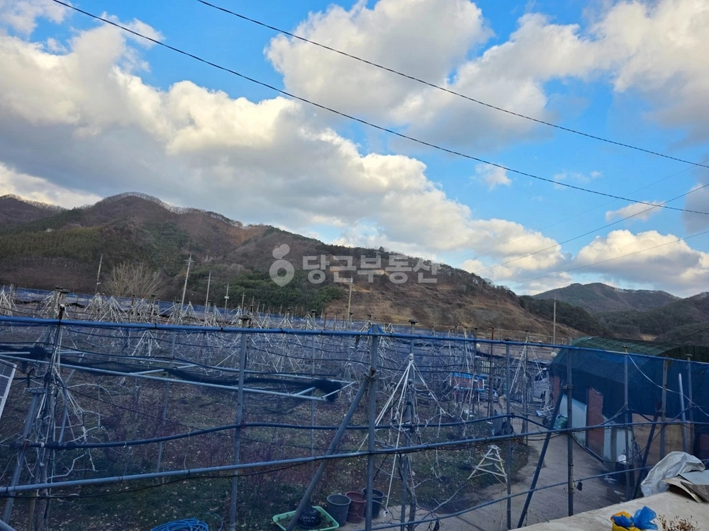 전남광주통합특별시 담양군 월산면 토지 사진 1
