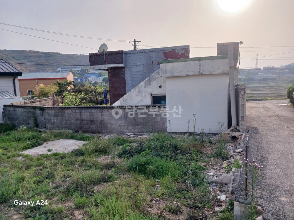 부산광역시 강서구 대저1동 단독/전원주택 사진 1