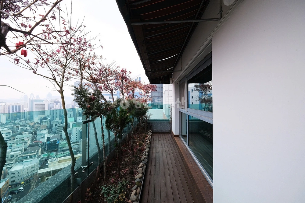 서울특별시 강남구 논현동 아파트 사진 1