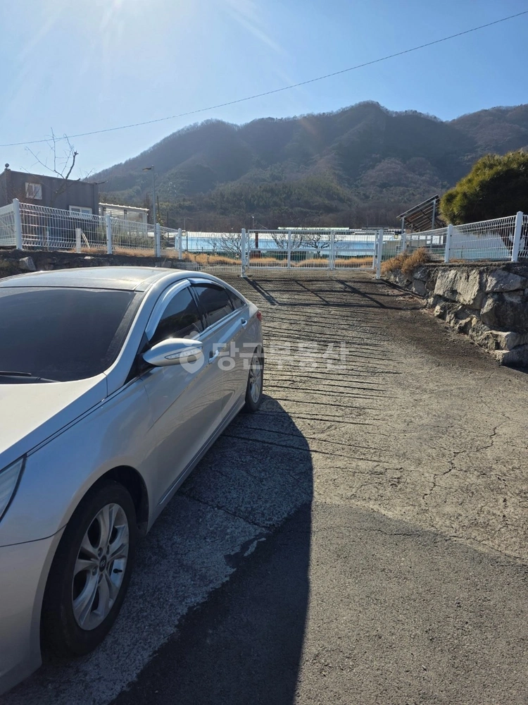 경상북도 경주시 건천읍 토지 사진 1