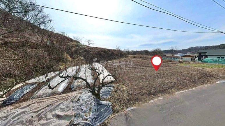경상남도 의령군 정곡면 토지 사진 1