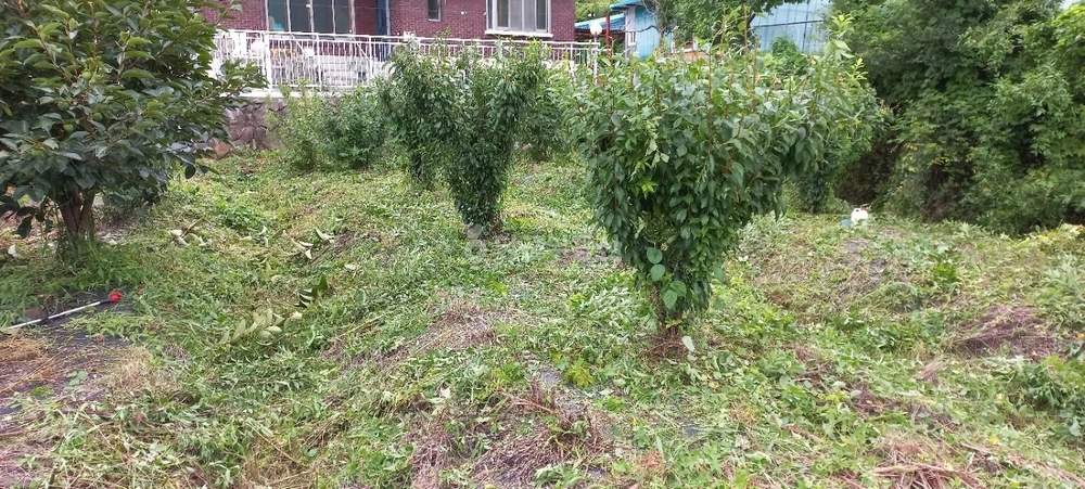 경상남도 밀양시 단장면 토지 사진 1