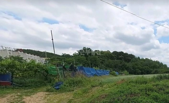 충청남도 천안시 동남구 성남면 토지 사진 1