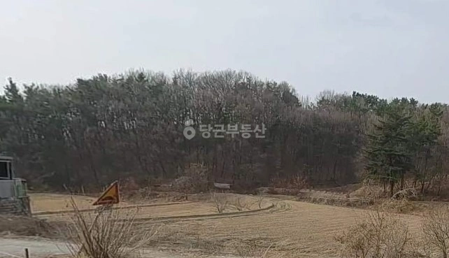 충청남도 천안시 동남구 신방동 토지 사진 1