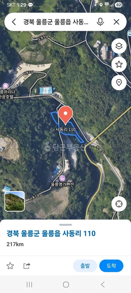 경상북도 울릉군 울릉읍 토지 사진 1