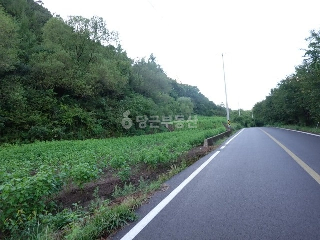 경상북도 영양군 청기면 토지 사진 1