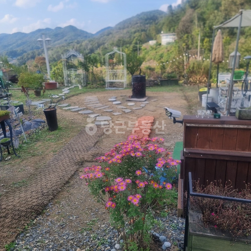 충청북도 옥천군 청산면 토지 사진 1