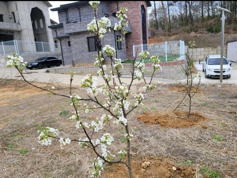 충청남도 당진시 송악읍 토지 사진 1