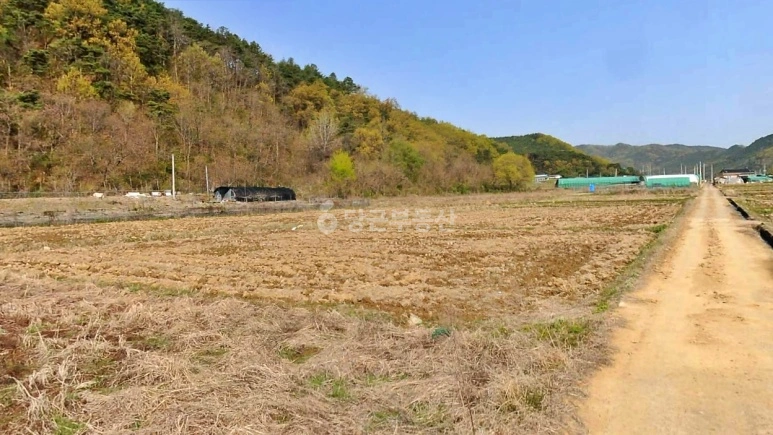 경상북도 고령군 운수면 토지 사진 1