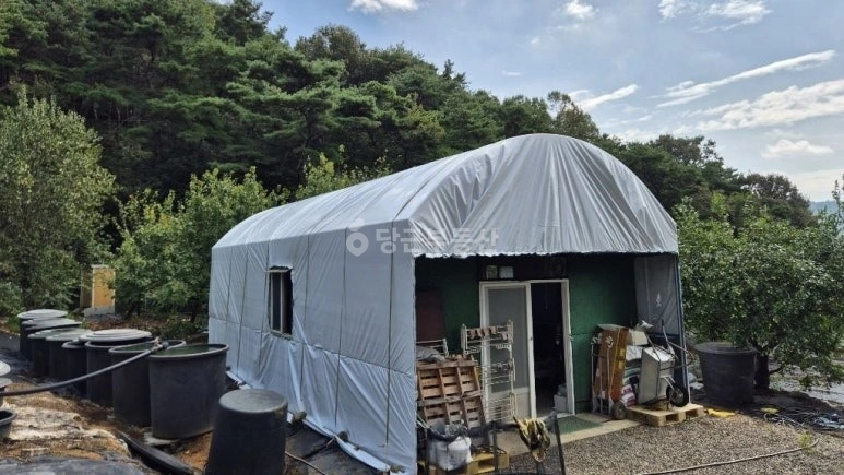 경상북도 칠곡군 지천면 토지 사진 1