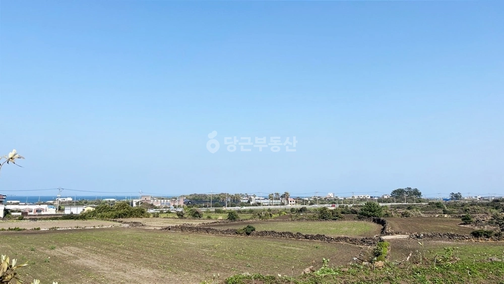 제주특별자치도 제주시 구좌읍 토지 사진 1