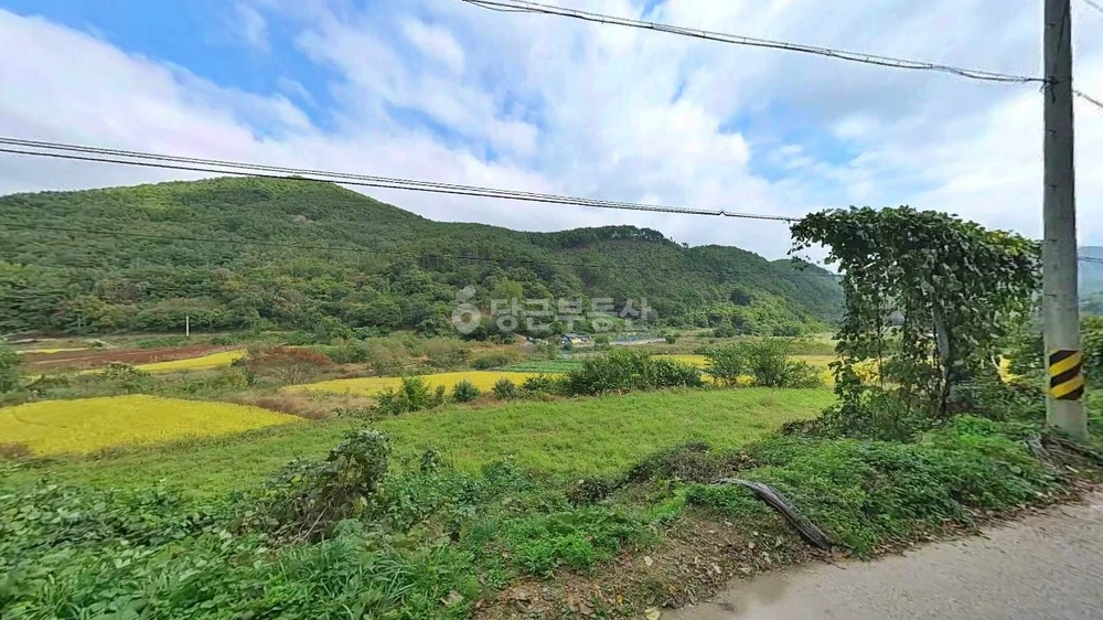 경상북도 경주시 산내면 토지 사진 1