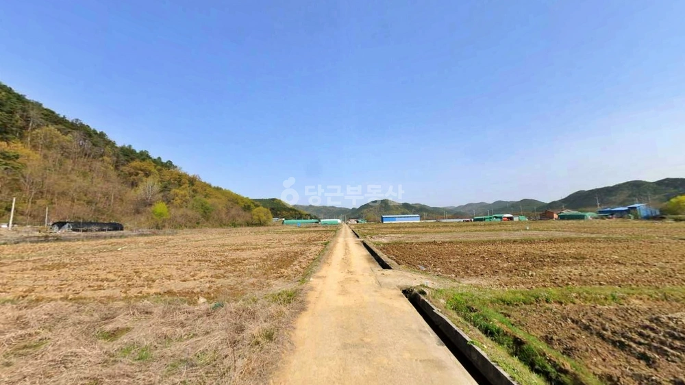 경상북도 고령군 운수면 토지 사진 1