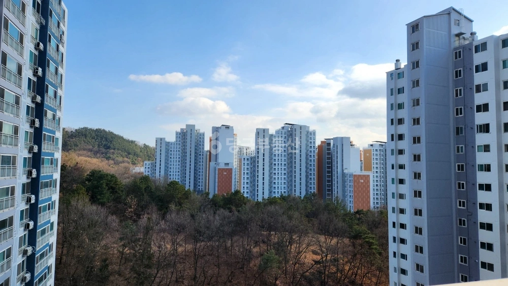 경상북도 구미시 봉곡동 아파트 사진 1