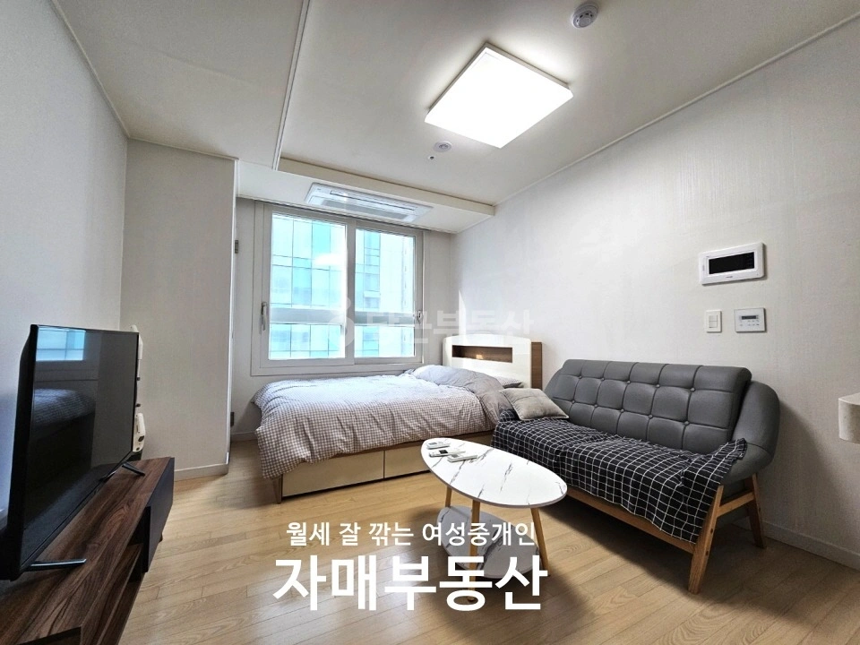 서울특별시 강남구 역삼동 오피스텔 사진 1