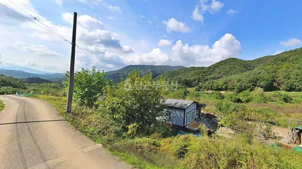 경상북도 성주군 벽진면 토지 사진 1