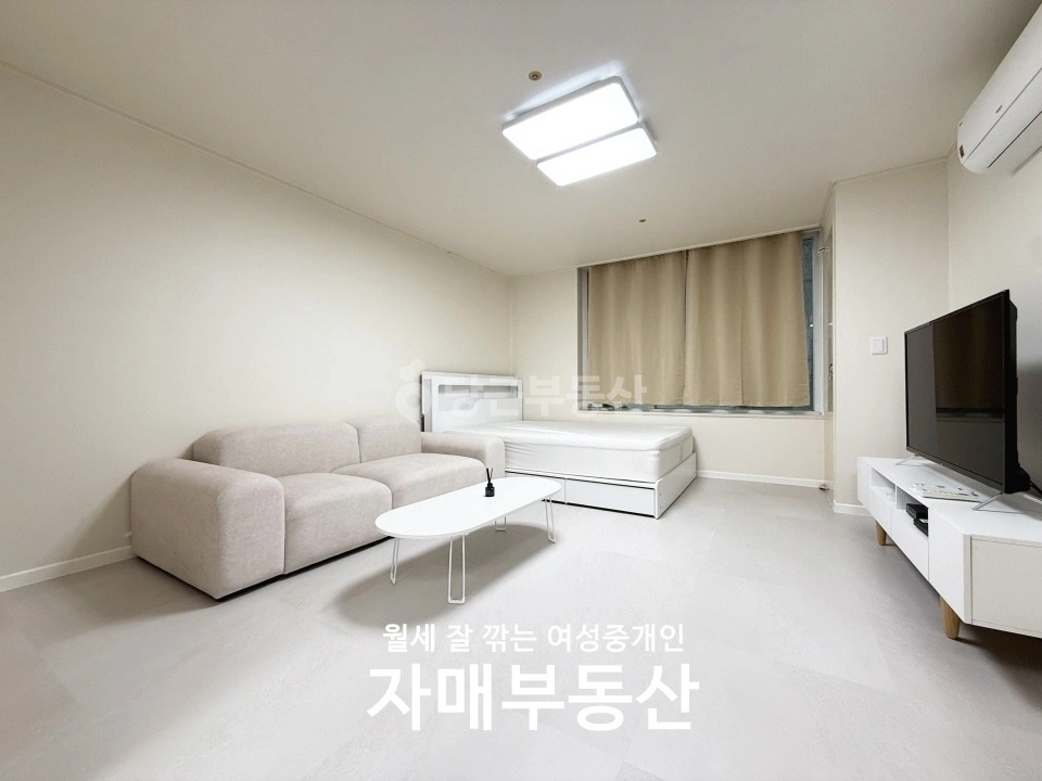 서울특별시 강남구 역삼동 오피스텔 사진 1