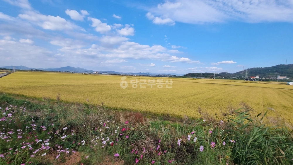 경상남도 창원시 의창구 동읍 토지 사진 1