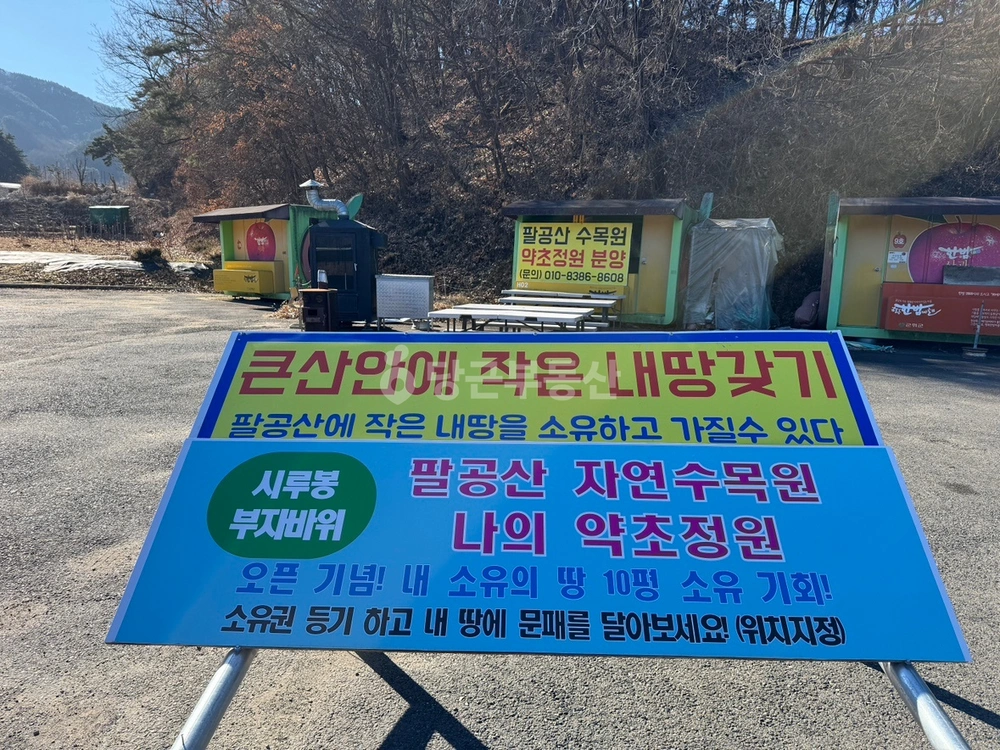 경상북도 영천시 신녕면 토지 사진 1