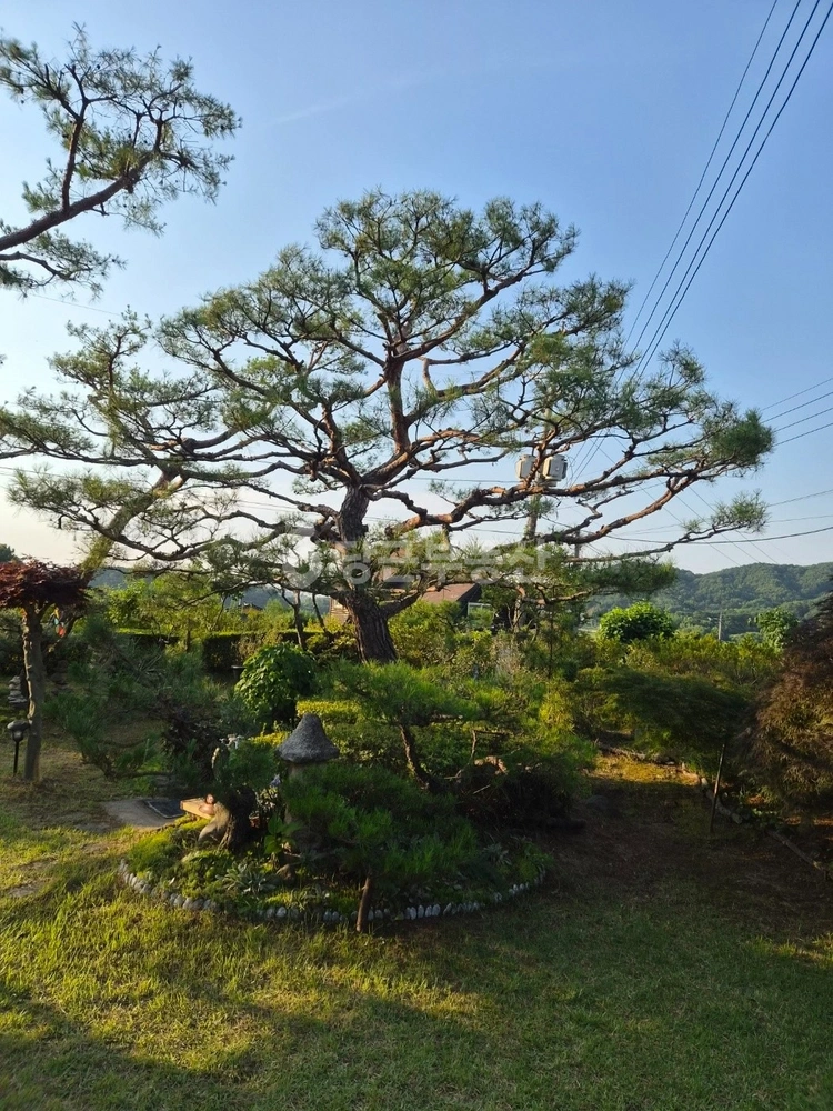 충청남도 아산시 도고면 단독/전원주택 사진 1