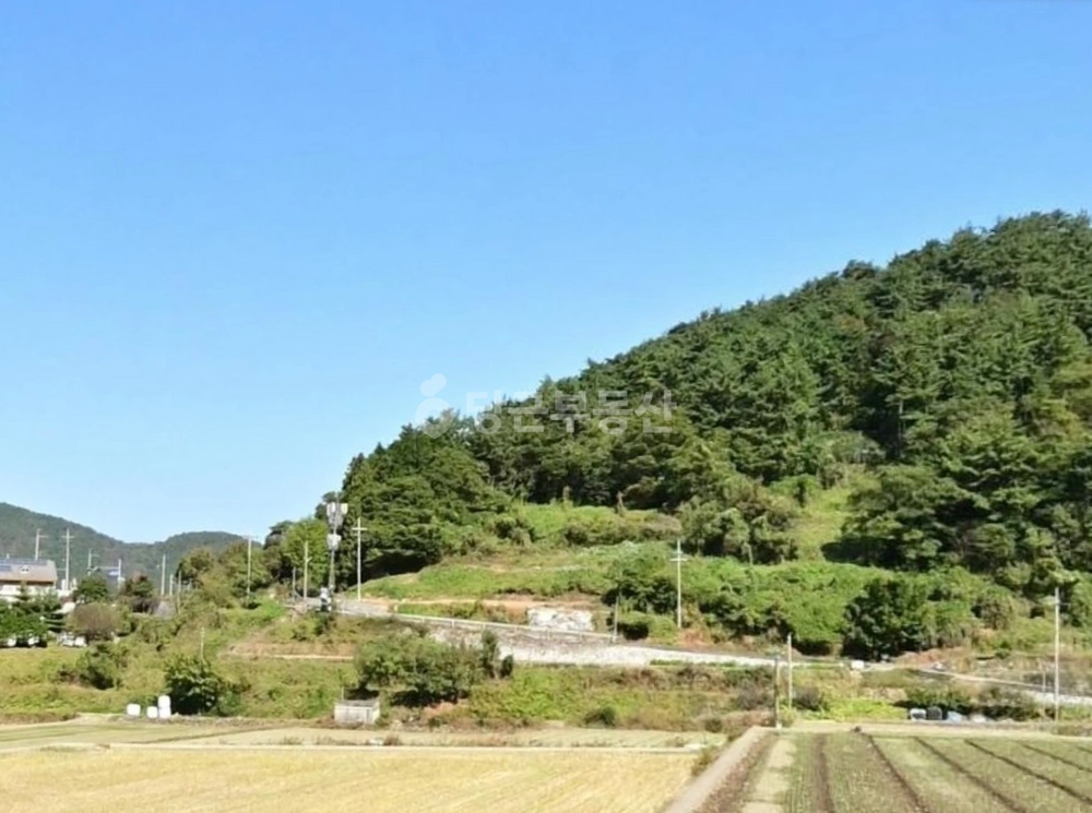 경상남도 남해군 남해읍 토지 사진 1