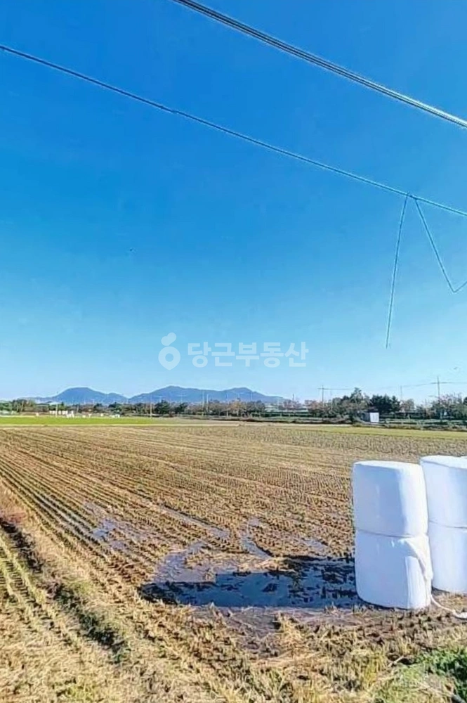 부산광역시 강서구 봉림동 토지 사진 1