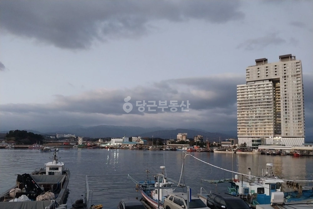 강원특별자치도 강릉시 사천면 건물 사진 1