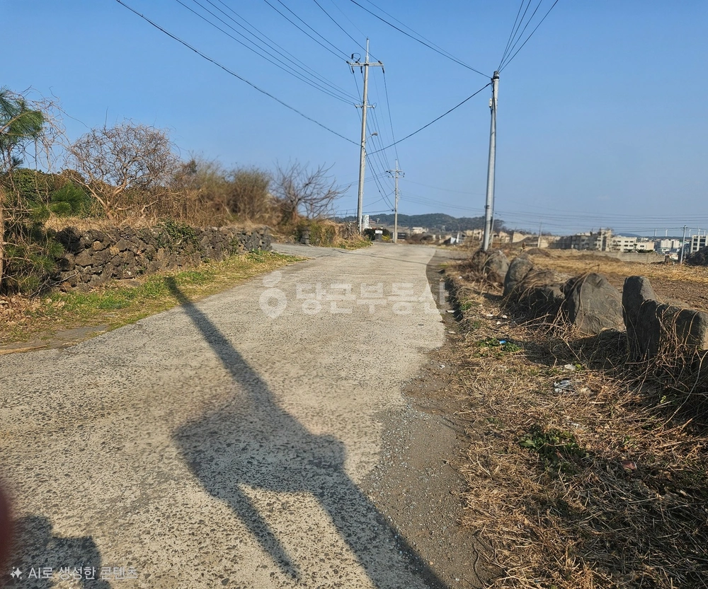 제주특별자치도 제주시 조천읍 토지 사진 1