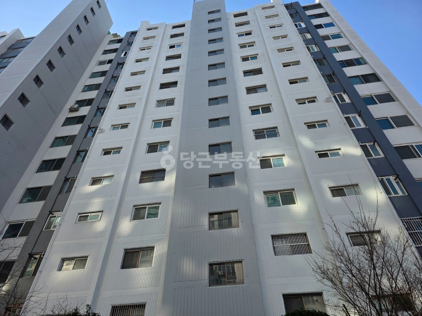 경상북도 경주시 안강읍 아파트 사진 1