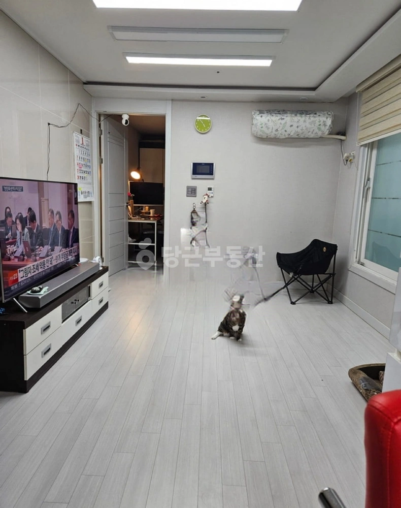 서울특별시 동대문구 장안동 빌라(투룸 이상) 사진 1