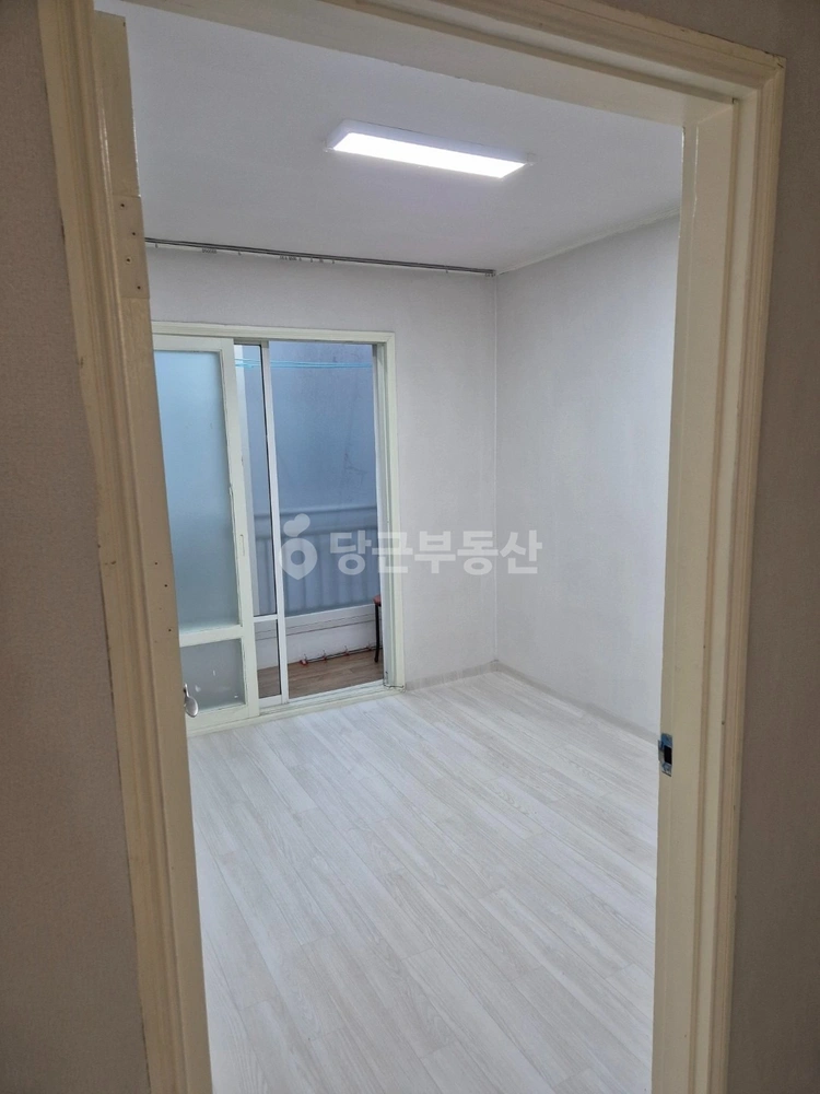 경상북도 포항시 북구 창포동 빌라(투룸 이상) 사진 1