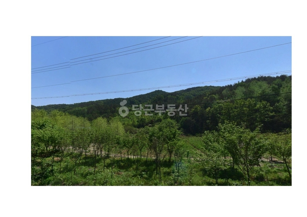 경상북도 고령군 운수면 건물 사진 1
