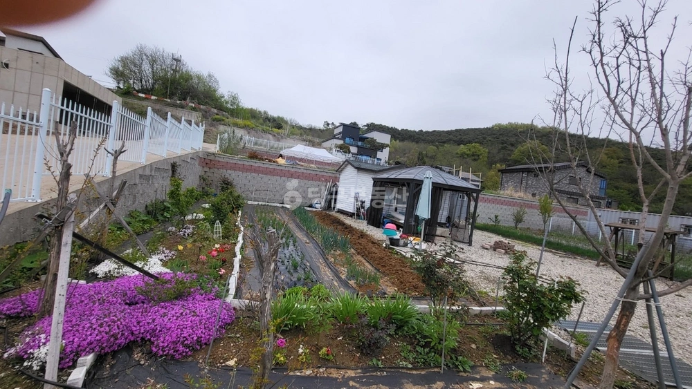 경기도 화성시 만세구 송산면 토지 사진 1