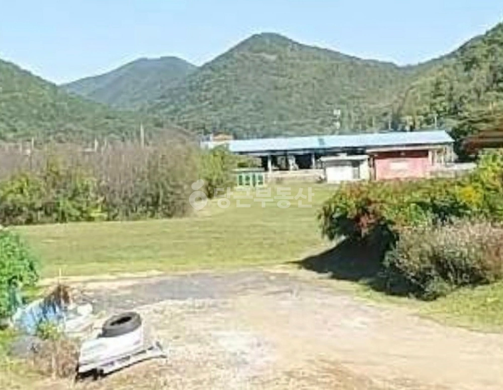 경상북도 청도군 금천면 토지 사진 1