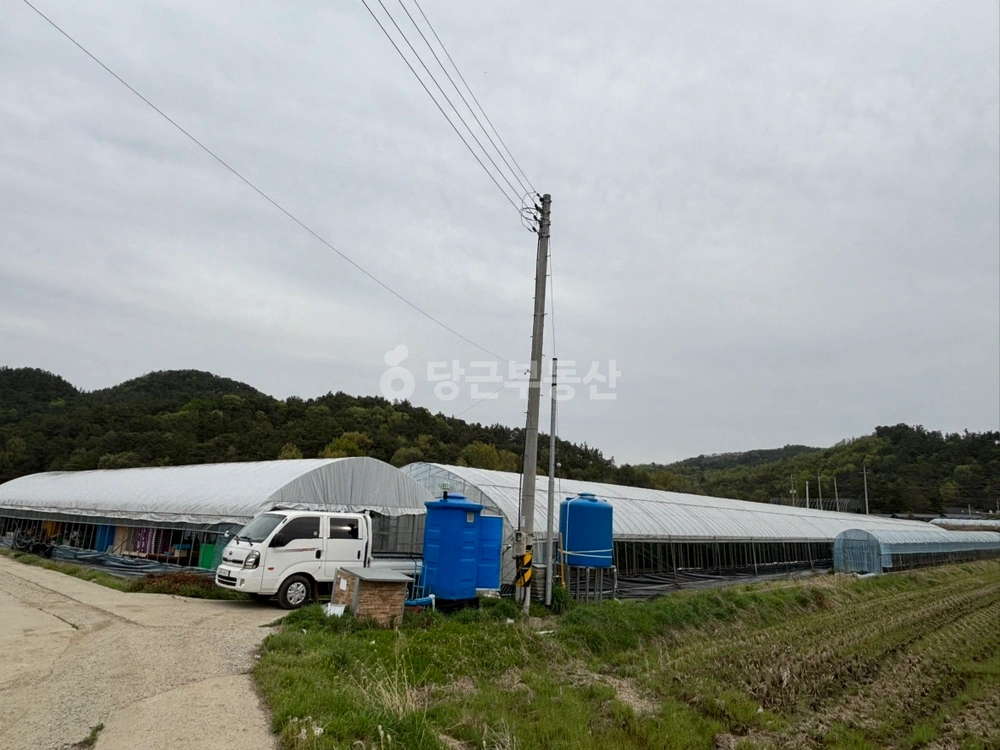 충청남도 부여군 장암면 토지 사진 1