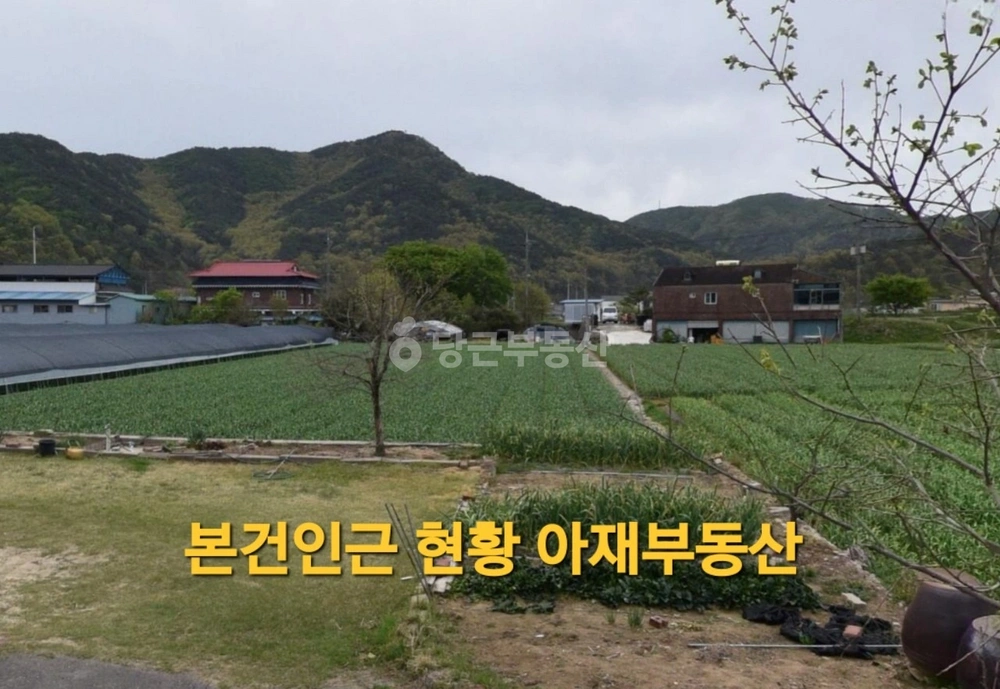 경상북도 고령군 쌍림면 토지 사진 1