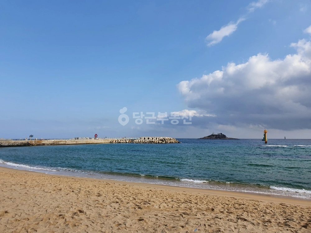 강원특별자치도 양양군 강현면 아파트 사진 1