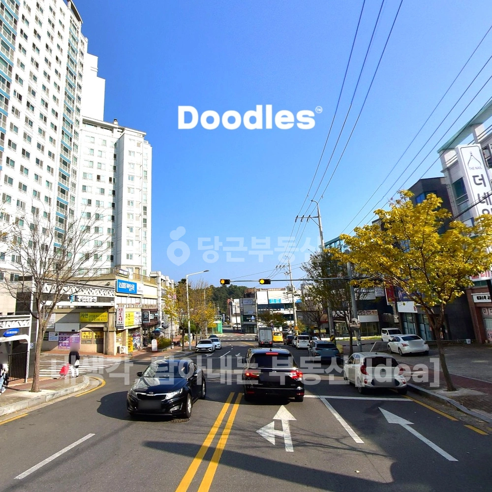 경상북도 포항시 북구 양덕동 건물 사진 1