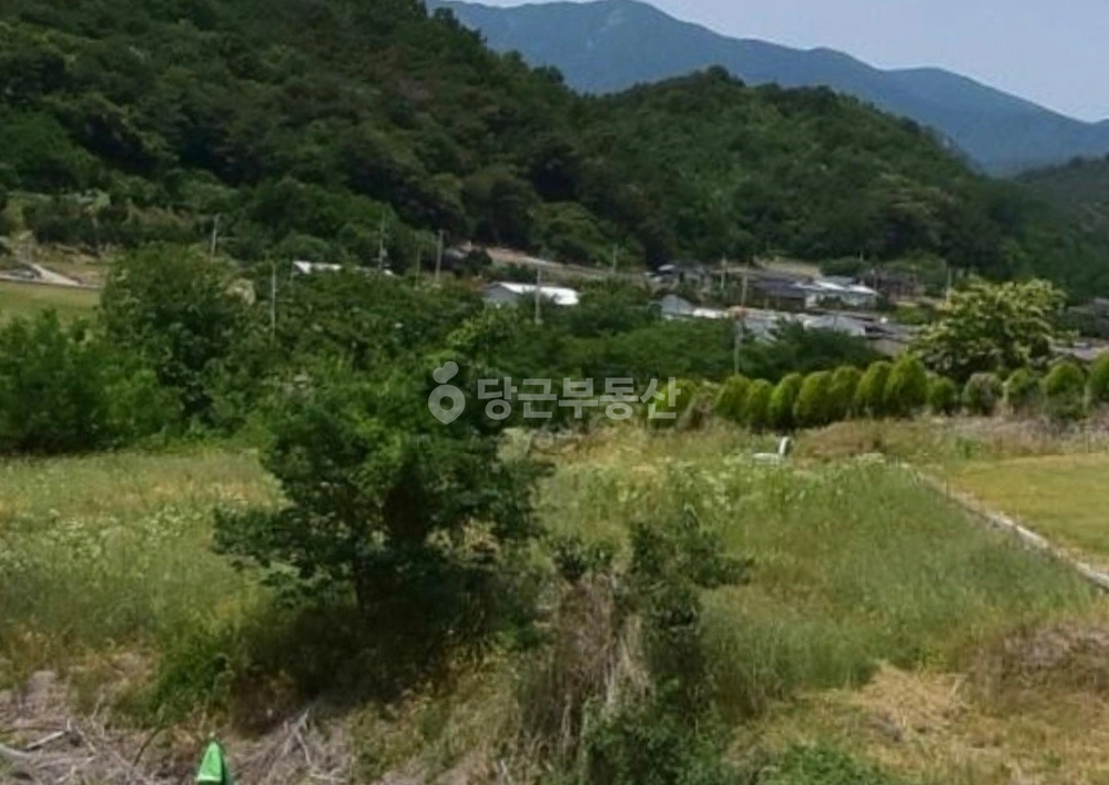 경상북도 청도군 각북면 토지 사진 1