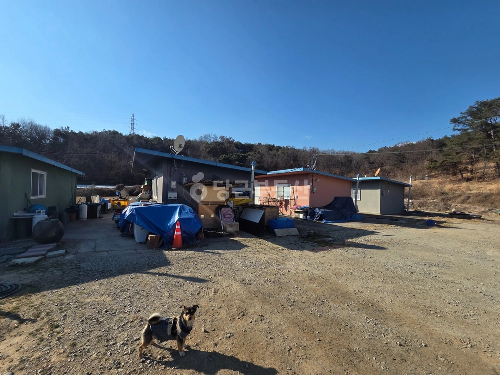 경상북도 구미시 해평면 단독/전원주택 사진 1