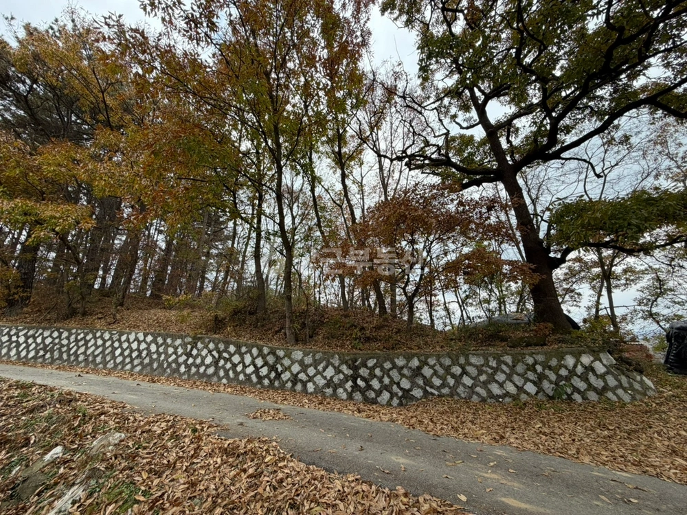전북특별자치도 장수군 천천면 토지 사진 1