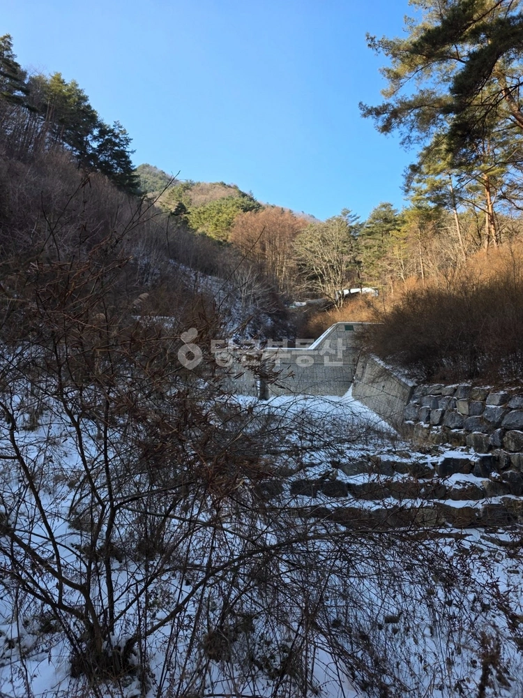 강원특별자치도 영월군 산솔면 토지 사진 1