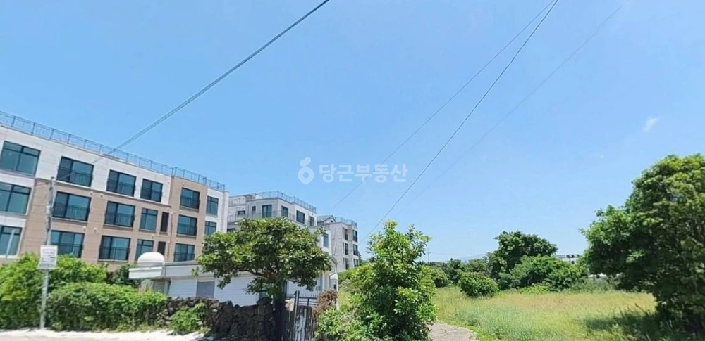 제주특별자치도 서귀포시 안덕면 토지 사진 1