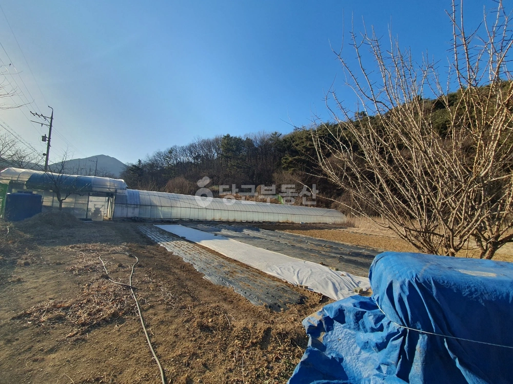 대구광역시 달성군 가창면 토지 사진 1